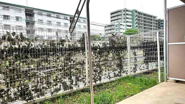 コルサム佐倉 不動産物件写真